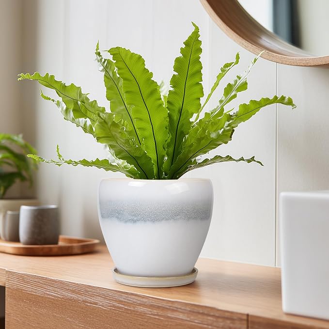 Ceramic Plant Pot - 6 Inch Ceramic Pots Indoor, White-Grey | Decorative Planter with Drainage Hole and Saucer, Modern Plant Pots for Plants, Bedroom Room Decor, Plant Lover Gifts