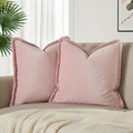 JUSPURBET Pink Velvet Throw Pillow Covers 22x22 Inch Set of 2 with Soft Tassel Fringe Luxury Boho Pillowcase for Sofa Couch Bed Home Decor Machine Washable