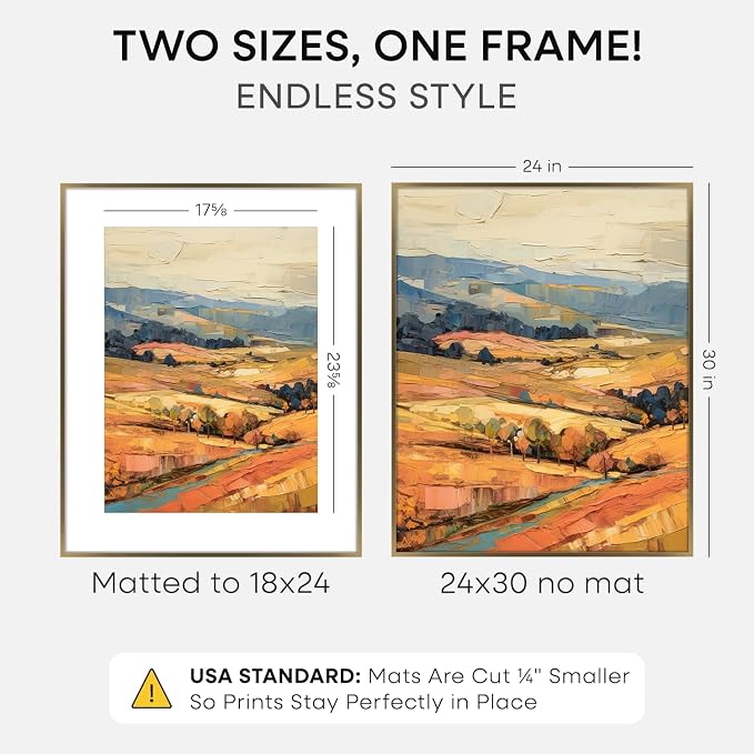 Homeforia 24x30 Bronze Picture Frame, High-End Metal, 18x24 Mat, Glass