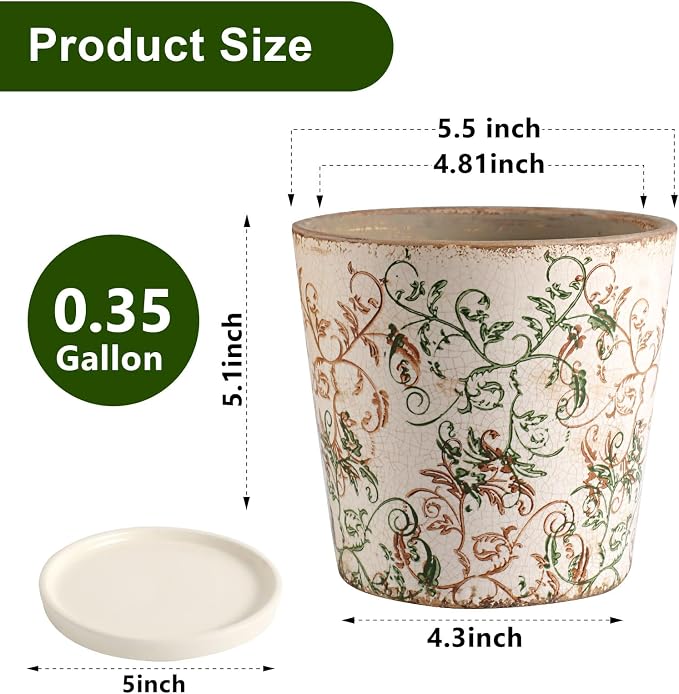 Ceramic Flower Pots for Indoor Plant with Drainage Hole & Saucer