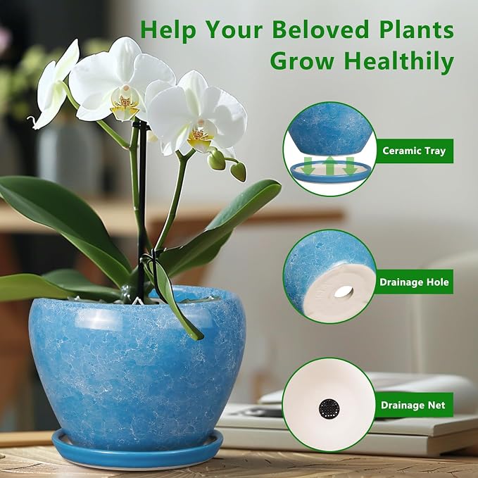 Ceramicfor 6 Inch Plant Pot - Ceramic Planter Pot with Drainage Hole and Saucer, Glaze Succulent Pot Modern Round Flower Pot for Indoor Plants, Blue