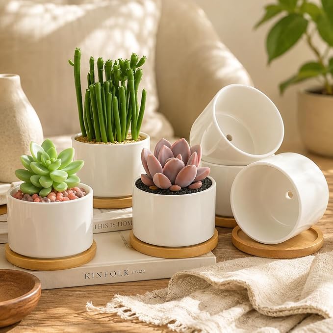 ZOUTOG 6 Pack 3.6" Ceramic Succulent Pots,White Planter with Drainage Tray