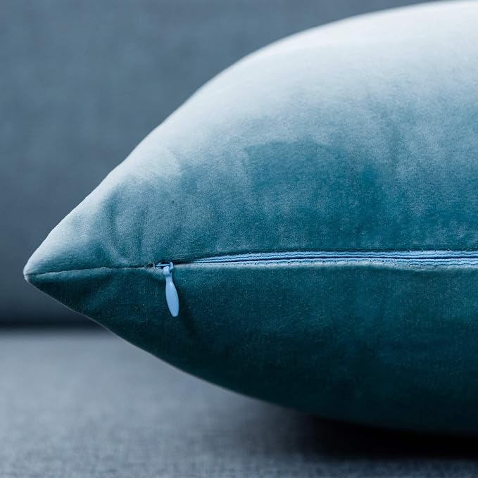 JUSPURBET 28x28 Euro Velvet Throw Pillow Covers Set of 2,Light Blue