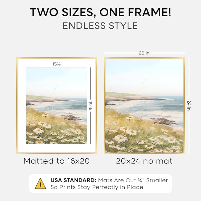 Homeforia 20x24 Gold Picture Frame, High-End Metal, 16x20 Mat, Glass