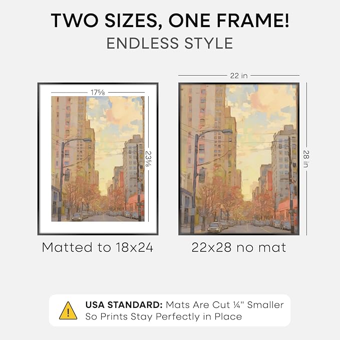 Homeforia 22x28 Black Poster Frame, High-End Metal, 18x24 Mat, Glass