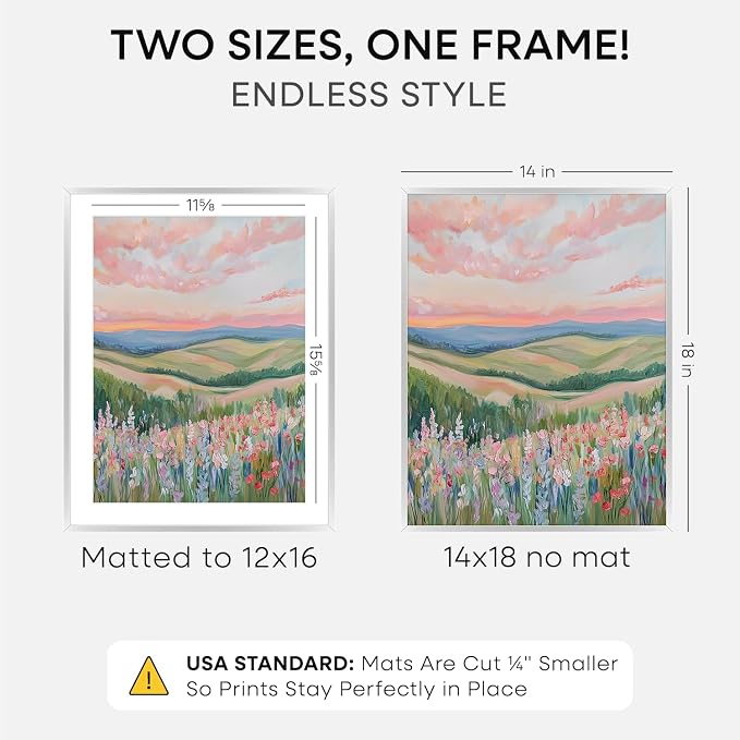 Homeforia 14x18 Silver Picture Frame, High-End Metal, 12x16 Mat, Glass