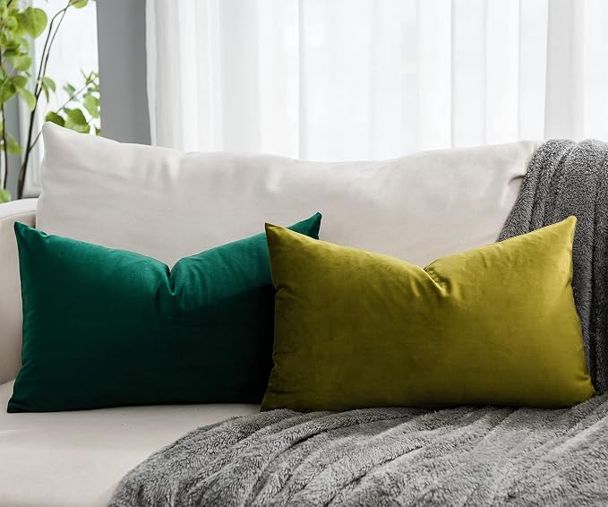 Dark Green Decorative Lumbar Velvet Throw Pillow Covers 16x24 inch Set of 2 with Zipper Luxury Soft Solid Rectangle Cushion Covers Case for Sofa Couch Bed Living Room