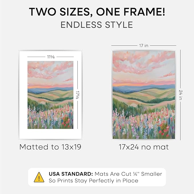 Homeforia 17x24 Silver Picture Frame, High-End Metal, 13x19 Mat, Glass