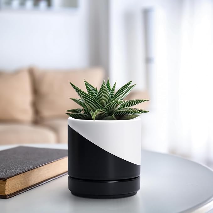 D'vine Dev 4.7 Inch Ceramic Planter Pot, Black White Diagonal, 94-O-B-K | Modern Cylinder Design, Drainage Hole & Saucer Included, Stable Structure, Elegant Home Accent
