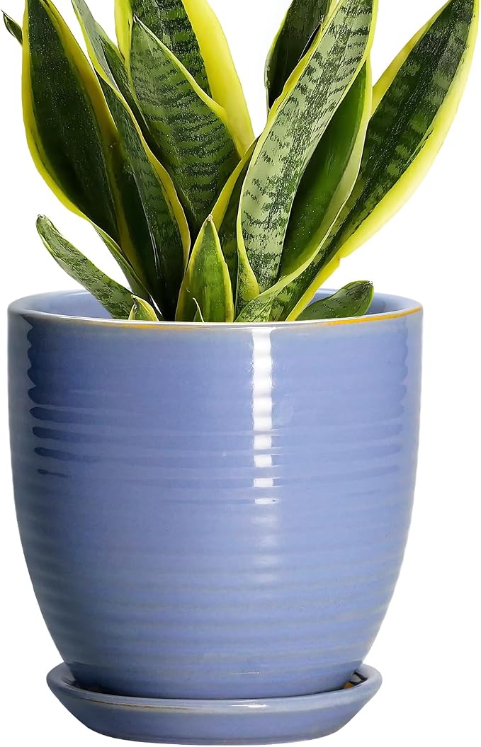 6 Inch Ceramic Pots for Plants - Ceramic Plant Pots with Drainage Hole and Saucer, Flower Pot for Indoor Plants, Round Modern Planter, Apartment Decor, Housewarming Gifts, Blue-Purple