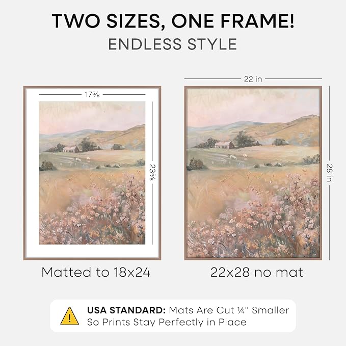 Homeforia 22x28 Mocha Poster Frame, High-End Metal, 18x24 Mat, Glass