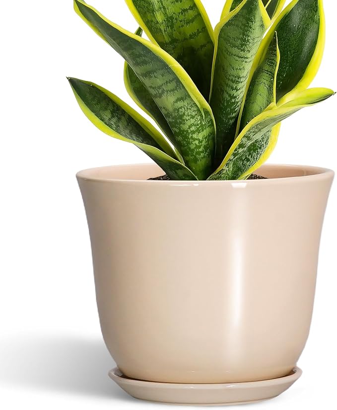 8 Inch Plant Pot, Ceramic Pots for Plants Indoor, Beige | Round Flower Pots with Drainage Hole and Saucer, Modern Decorative Planters, Home Office Desk Room Decor, Plant Lover Gifts