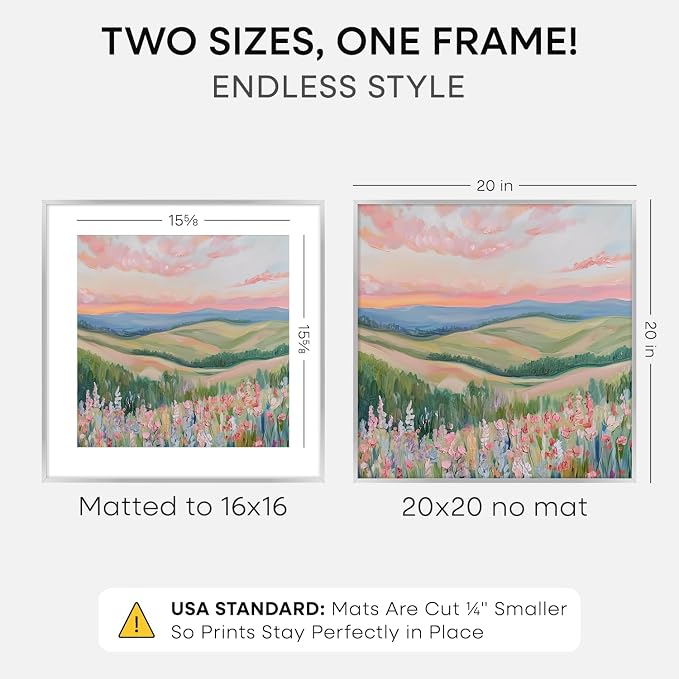 Homeforia 20x20 Silver Picture Frame, High-End Metal, 16x16 Mat, Glass