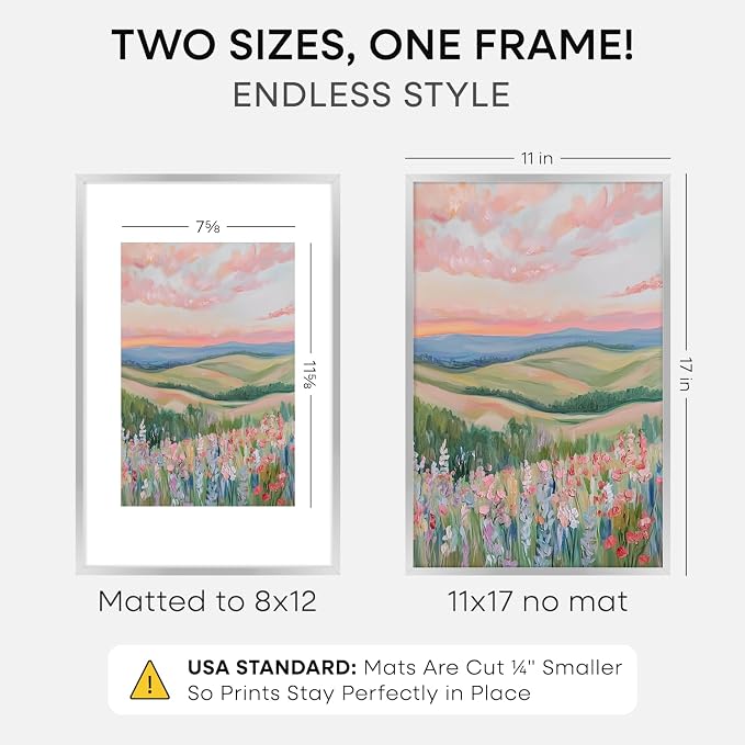 Homeforia 11x17 Silver Picture Frame, High-End Metal, 8x12 Mat, Glass