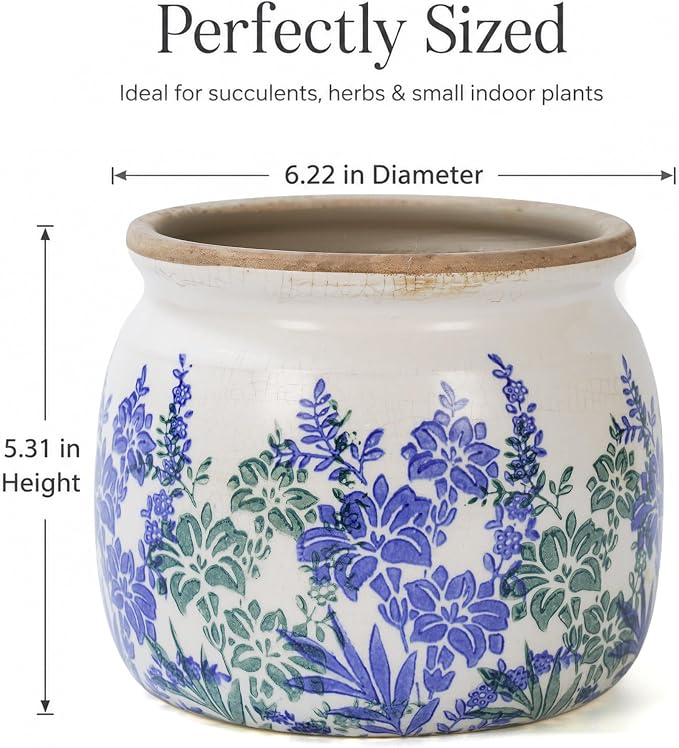 Dosayes Vintage Plant Pot,6.29 inch Ceramic Flower Pot with Drainage