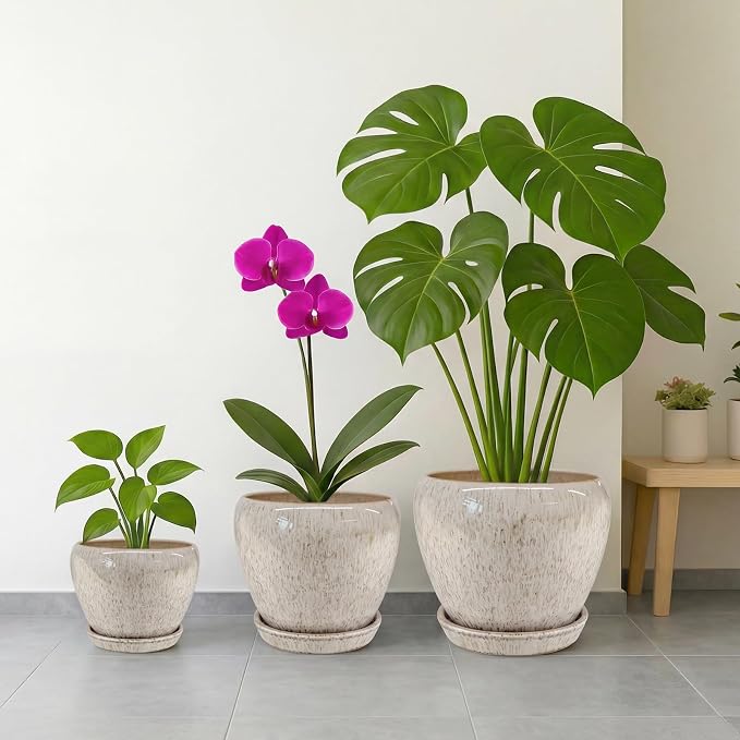 Deep Dream 8 Inch Plant Pots- Ceramic Pots for Plants with Drainage Hole and Saucer, Large Planter Pot for Indoor Plants Outdoor Decor, Beige