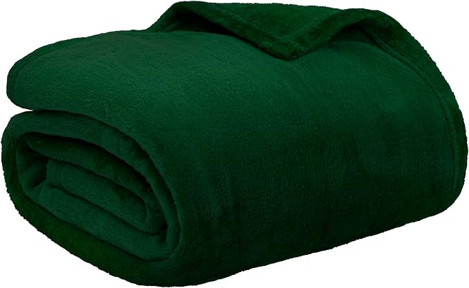 PAVILIA Fleece Blanket Throw Twin Size | Super Soft, Plush, Luxury Flannel Throw | Lightweight Microfiber Blanket for Sofa Couch Bed (Emerald Green, 60x80 inches)