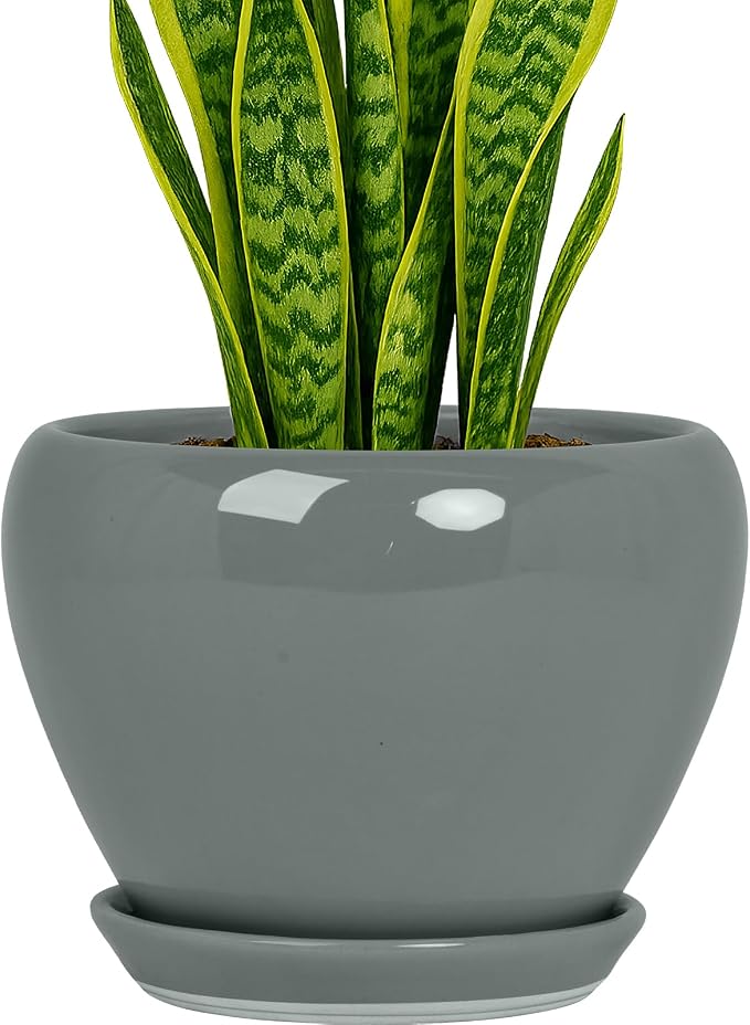 Deep Dream 8 Inch Plant Pots- Ceramic Pots for Plants with Drainage Hole and Saucer, Large Planter Pot for Indoor Plants Outdoor Decor, Grey