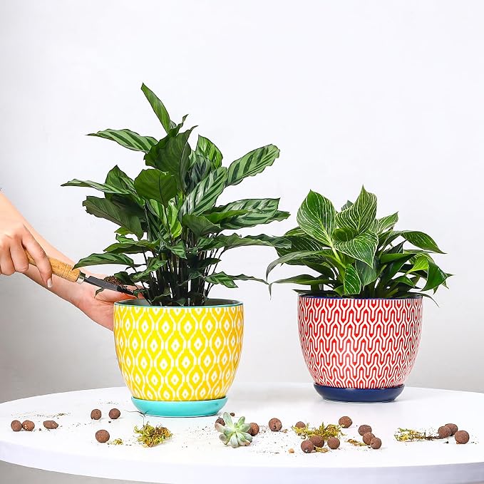 Selamica Ceramica Plant Pots, 6.5 Inch Flower Pots Set of 2 with Drainage Holes & Saucer, Planters for Indoor Plants, Home Decor, Assorted Colors