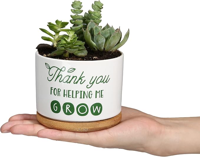 DOMG Teachers Appreciation Gift, Ceramic Succulent Plant Pot Small Flower Planter for Indoor Outdoor Use, Thank You for Helping Me Grow (Pack of 2)