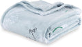 Berkshire Blanket Peanuts® VelvetLoft® Cute Character Snoopy Plush Blanket,Peanuts Snoopy Make a Wish Spring Blue,King 90 in x 108 in (Official Peanuts® Product)