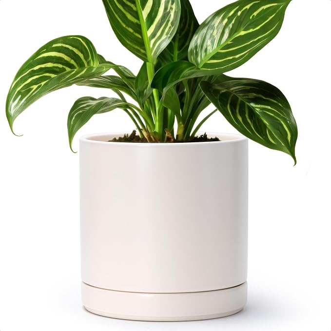D'vine Dev 8.2 Inch Ceramic Planter Pot, Oatmeal, 94-O-D-8 | Modern Cylinder Design, Drainage Hole & Saucer Included, Stable Structure, Elegant Home Accent