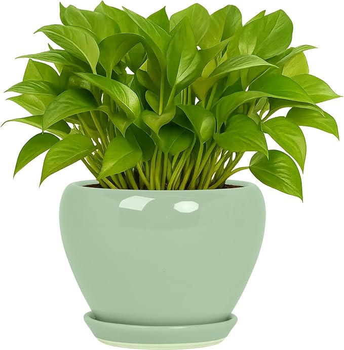 Deep Dream 6 Inch Plant Pots- Ceramic Planter Pot with Drainage Hole and Saucer, Round Flower Pot for Indoor Outdoor Succulent, Snake Plants and Cactus, Mint Green