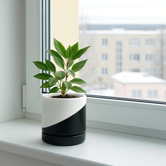 D'vine Dev 4.7 Inch Ceramic Planter Pot, Black White Diagonal, 94-O-B-K | Modern Cylinder Design, Drainage Hole & Saucer Included, Stable Structure, Elegant Home Accent