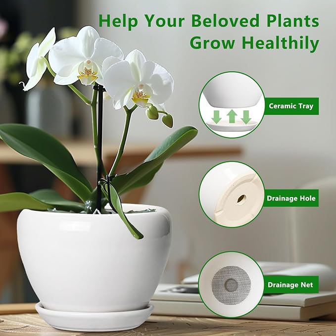 Ceramicfor Ceramic Pot for Plants, 8 Inch Planter, Glossy White | Plant Pot with Drainage Hole and Saucer, Round Planter for Indoor Plants, Modern, Plant Lover Gifts, Home Office Garden Decor