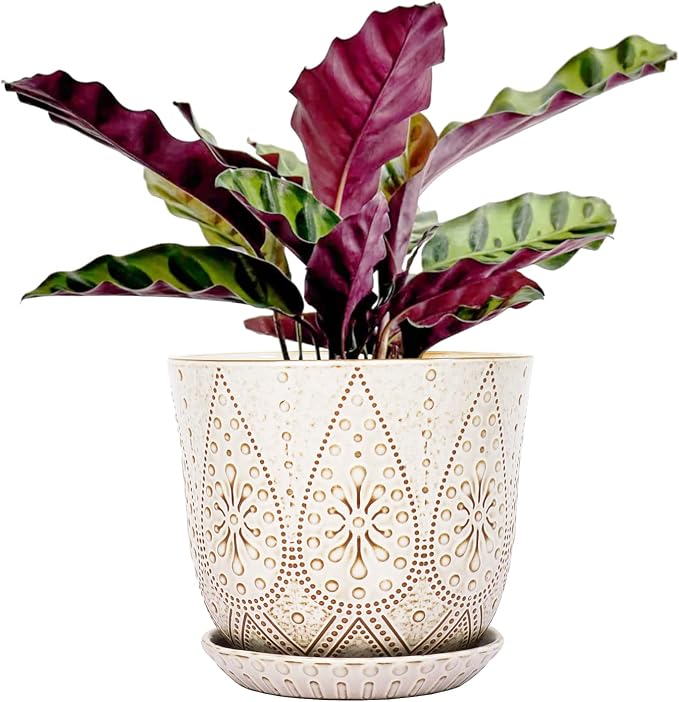 Gepege 8 Inch White Ceramic Plant Pot with Drainage & Saucer | Large ceramic plant pot with drainage hole, ceramic saucer and mesh pad, ideal for indoor plants, flowers and houseplants