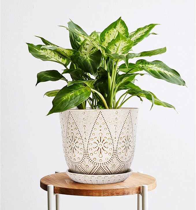 Gepege 8 Inch White Ceramic Plant Pot with Drainage & Saucer | Large ceramic plant pot with drainage hole, ceramic saucer and mesh pad, ideal for indoor plants, flowers and houseplants