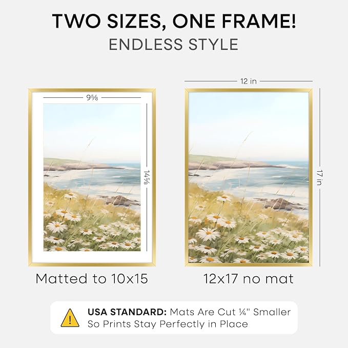 Homeforia 12x17 Gold Picture Frame, High-End Metal, 10x15 Mat, Glass