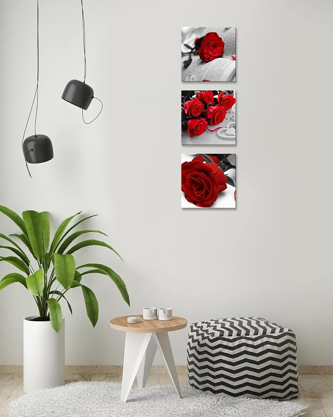 NAN Wind 3 Pcs Black White with Red Wall Art Red Rose Wall Decor Abstract Decorations Flower Picture on Canvas for Home Decor Stretched and Framed 12X12inches