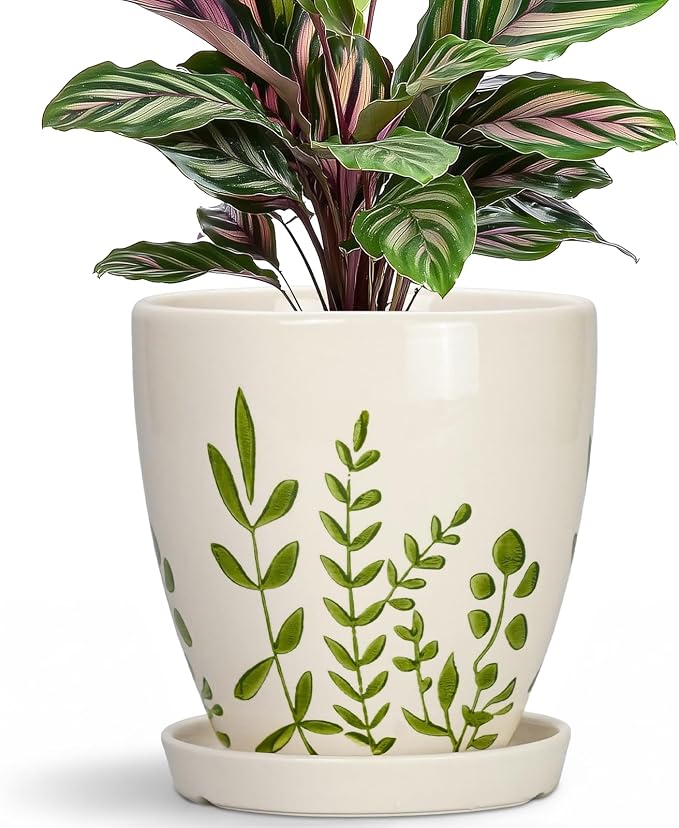 MPotTo Ceramic Pots for Plants - 6 Inch Plant Pot for Indoor Outdoor Plants, Ceramic Planter with Drainage Hole and Saucer, Decorative Round Planter, Gifts for Plant Lovers, Home Room Decor, White