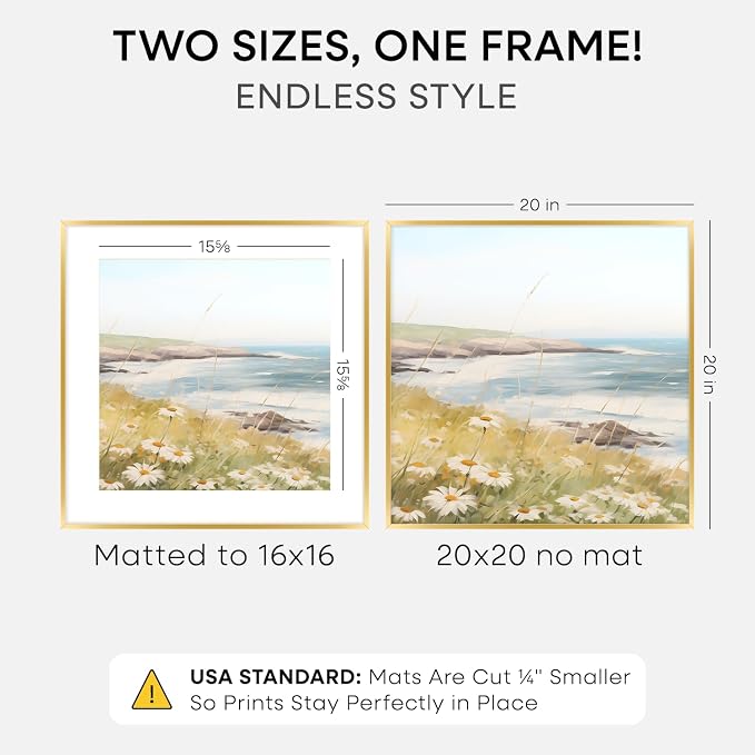 Homeforia 20x20 Gold Picture Frame, High-End Metal, 16x16 Mat, Glass