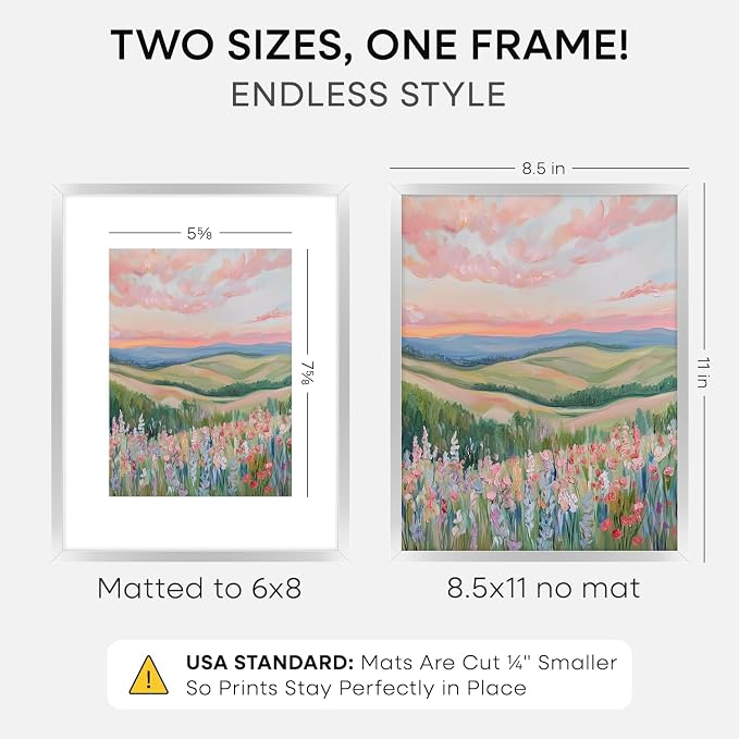 Homeforia 8.5x11 Silver Picture Frame, High-End Metal, 6x8 Mat, Glass