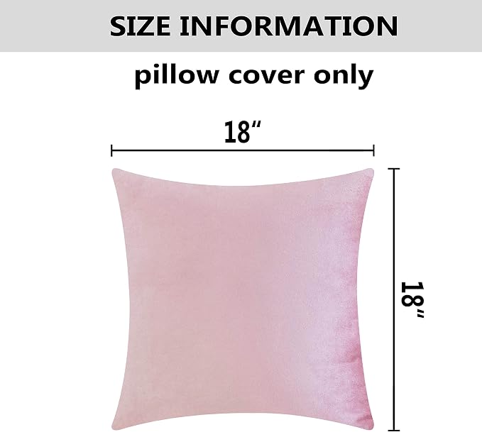 Home Brilliant Pillow Covers 18x18 Set of 2 Solid Soft Velvet Pink Decorative Pillow Covers Gift for Girls, 45cm, 18 inches, Blush Pink
