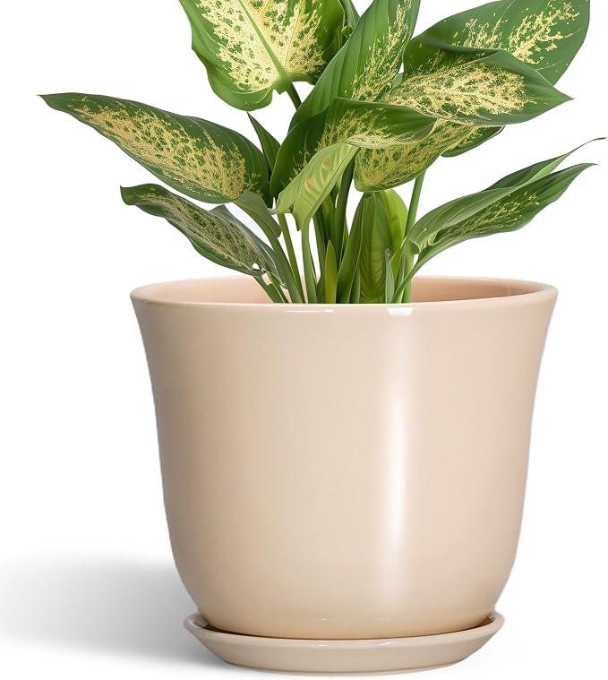 Ceramic Pots for Plants, 5.6 Inch Plant Pot with Drainage, Beige | Round Orchid Succulent Pots for Indoor, Modern Small Planter with Saucer, Home Office Decor, Gifts for Women