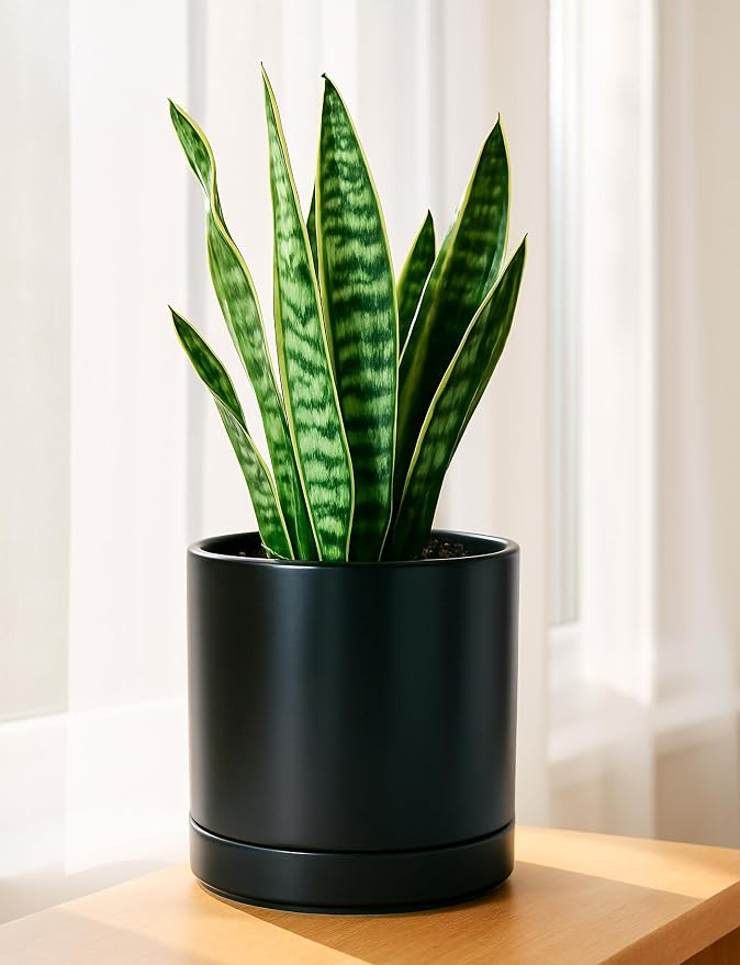 D'vine Dev 8.2 Inch Ceramic Planter Pot, Black, 94-O-D-2 | Modern Cylinder Design, Drainage Hole & Saucer Included, Stable Structure, Elegant Home Accent