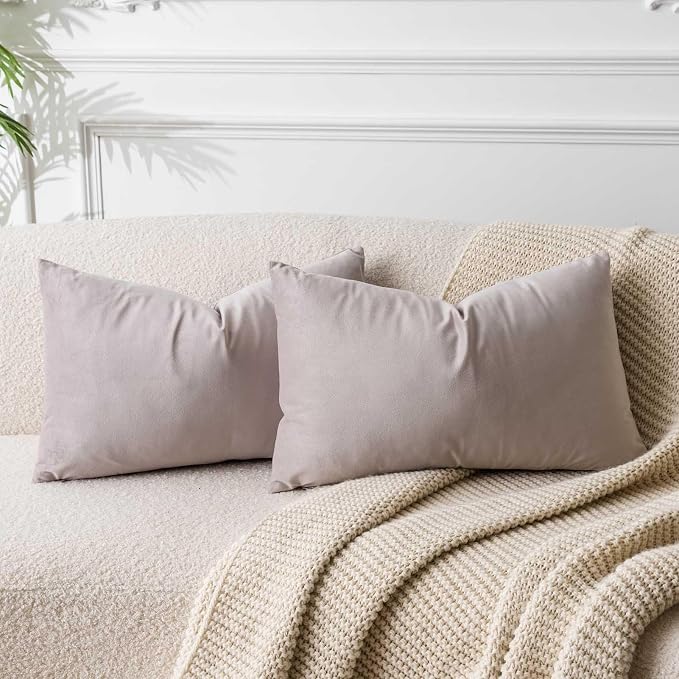 JUSPURBET 16x24 Lumbar Velvet Throw Pillow Covers Set of 2,Champagne