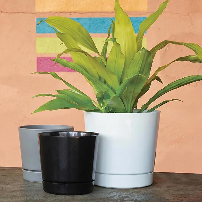 Root & Vessel Majestic Full Depth Round Cylinder Pot, Glossy Gray, 6-Inch (10060)