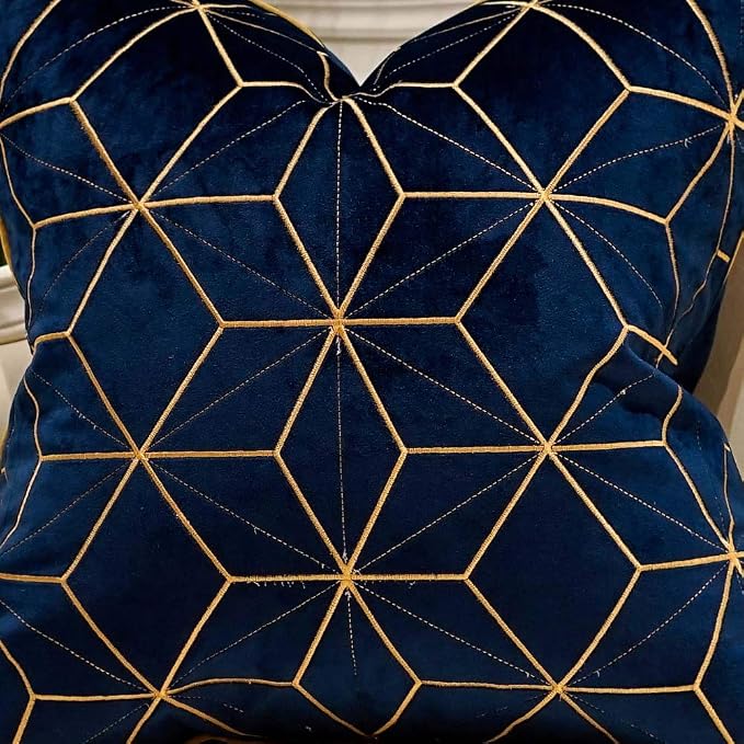 Avigers Throw Pillow Cover 18 x 18 Inch, Blue Gold, Velvet, Hidden Zipper