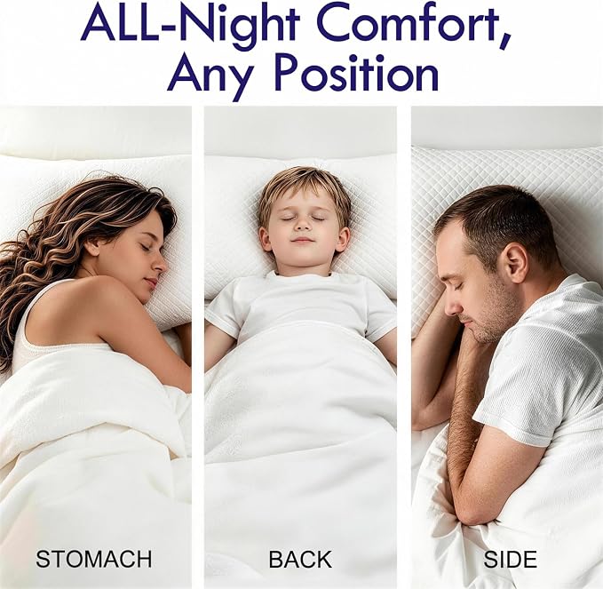HITO Hotel Pillows Bed Pillows King Size Set of 2-100% Virgin Material Down Alternative Pillow - Soft Support for Back, Stomach, Side Sleepers