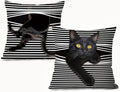 Funny Moody Black Cat Pillow Covers Covers18x18 - Set of 2, Cat Room Decor, Whimsical Kitten Striped Decorative Throw Pillow Covers Pillowcases for Bedroom Living Room Home Decor