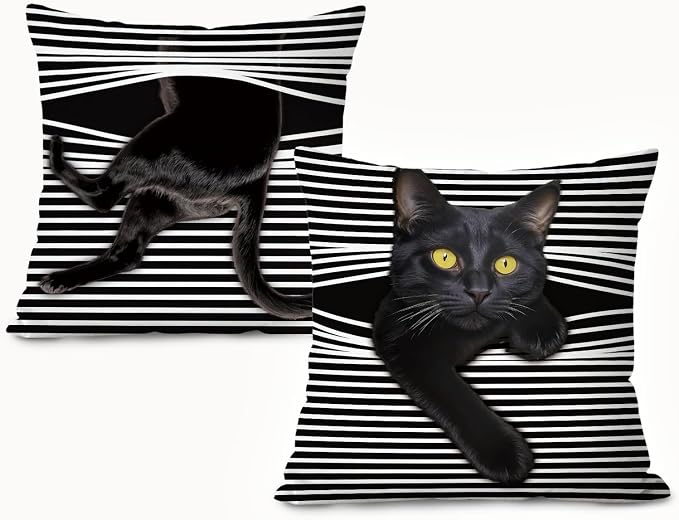 Funny Moody Black Cat Pillow Covers Covers18x18 - Set of 2, Cat Room Decor, Whimsical Kitten Striped Decorative Throw Pillow Covers Pillowcases for Bedroom Living Room Home Decor