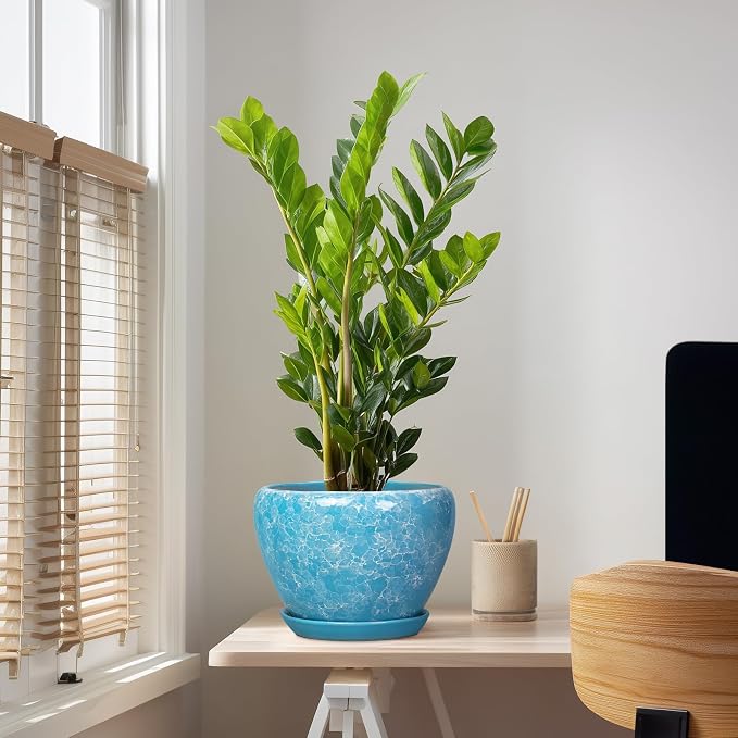 Indoor Plant Pots 10 Inch, Ceramic Planter, Bubble Blue | Decorative Round Planter with Drainage Hole and Saucer, Flower Pots Indoor, Apartment Decor, House Warming Gift