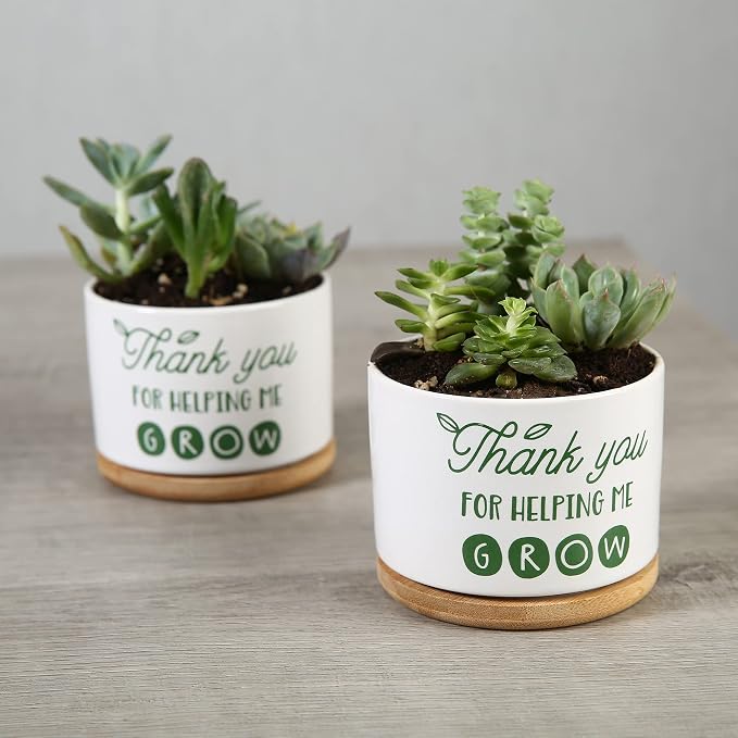 DOMG Teachers Appreciation Gift, Ceramic Succulent Plant Pot Small Flower Planter for Indoor Outdoor Use, Thank You for Helping Me Grow