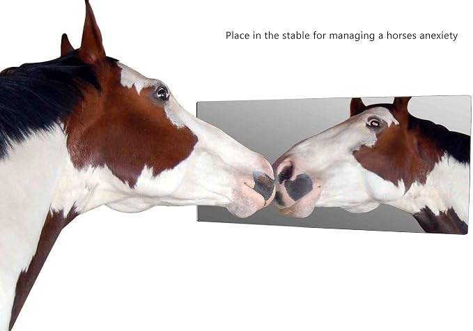 Marketing Holders Acrylic Mirror Sheet 12" x 24" Reflective Frameless Plexiglass Tile Lightweight Portable Display with Rounded Corners for Buddy Sour Horses Chicken Coops and Kids Rooms