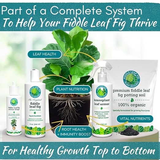 Fiddle Leaf Fig Rescue Drops for Brown Spots, Root Rot & Stress, 3.3 oz