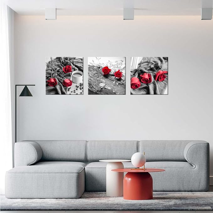 NAN Wind Canvas Print 3 Pcs Black and White Red Rose Canvas Art Painting Abstract Wall Art Decorations Flower Picture on Canvas for Home Decor Stretched and Framed (20X20inchX3pcs, B&w Rose)